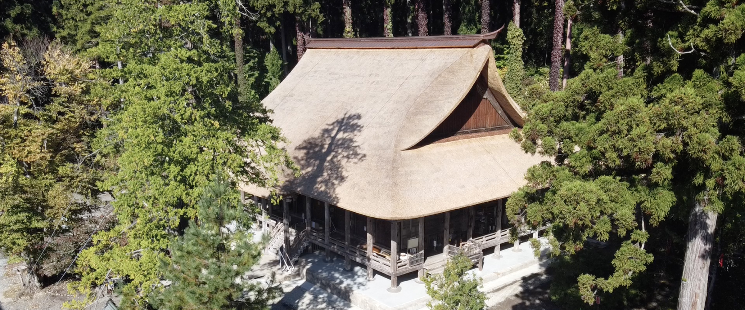 三宝類字集 高山寺本 高田本山専修寺 宝物館 燈炬殿 | 観光スポット | 観光三重